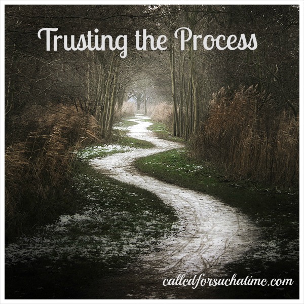 Trusting-the-Pic